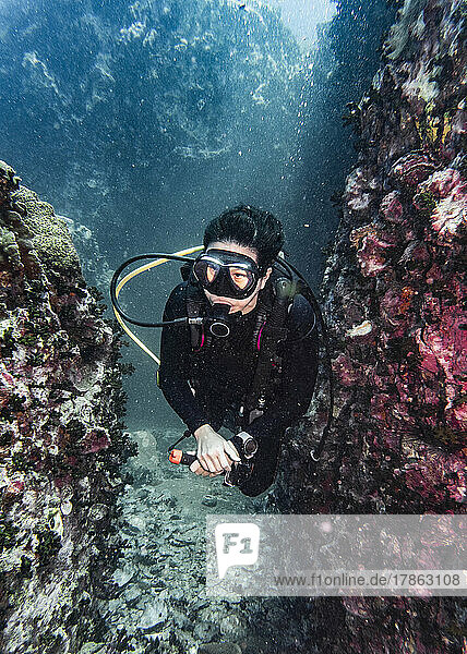diver exploring the tropical waters around Koh Tao in Thailand