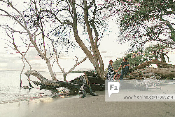 Interracial couple sitting on old tree on beach in Maui Hawaii