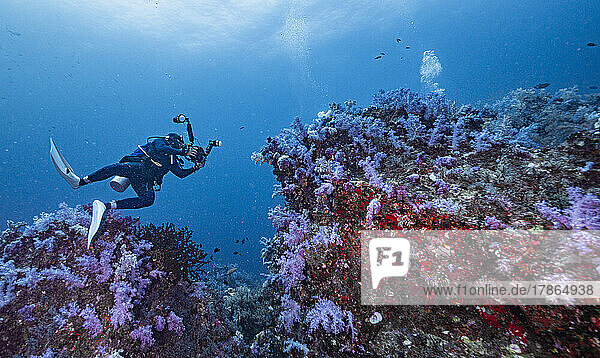 Diver exploring the tropical waters at the Andaman Sea in Thailand