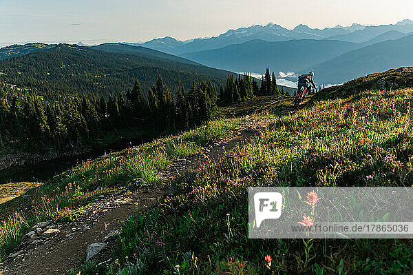 Mountain Biking through alpine meadows of British Columbia