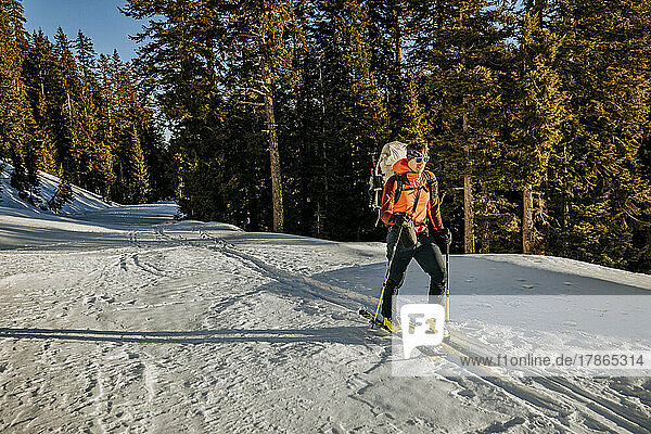 Man skis along snow covered winter trail in Crater Lake National Park