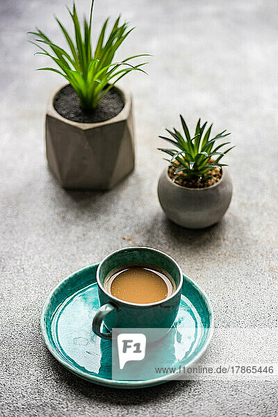 Cup of coffe with milk and succulents