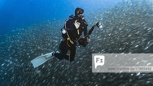 underwater photographer swimming around a school of fusilier fish