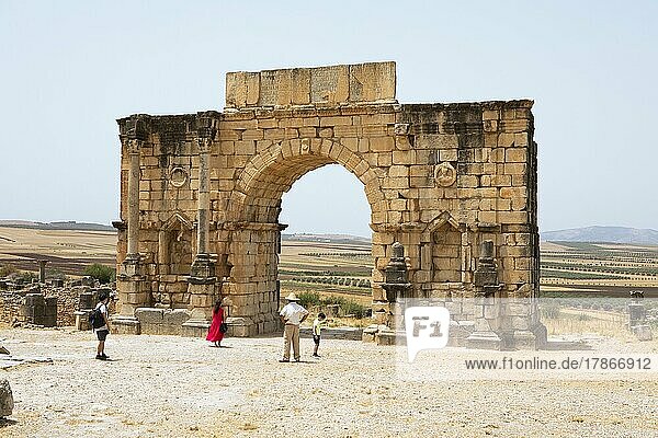 Arc de Triomphe  archaeological site  Volubilis  UNESCO World Heritage Site  near Meknes  Morocco  Africa