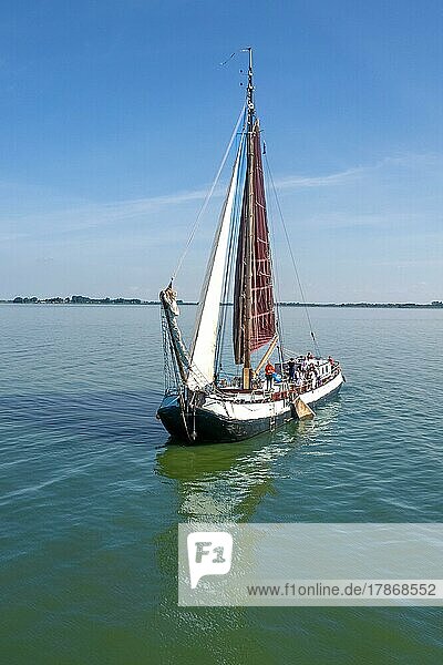 Historisches Segelschiff mit roten Segeln  Ijsselmeer  Niederlande  Europa