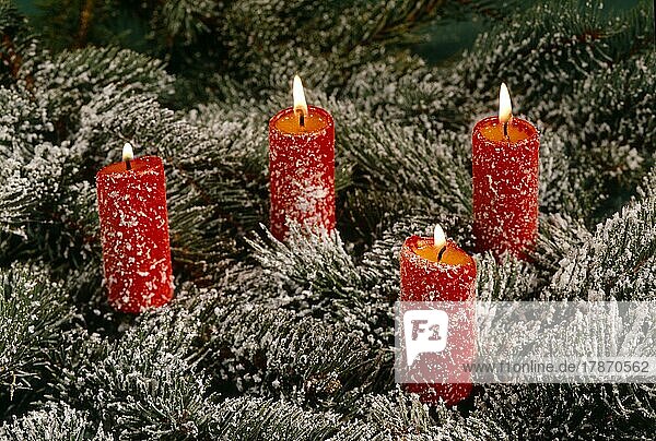 Adventskranz mit 4 vier brennenden Kerzen  Weihnachtszeit  Advent  Advent wreath with 4 four burning candles  yule tide