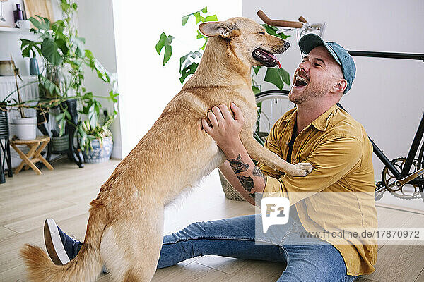 Fröhlicher Mann spielt mit Hund im heimischen Wohnzimmer