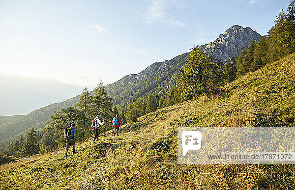 Backpackers climbing mountain on sunny day  Mutters  Tyrol  Austria
