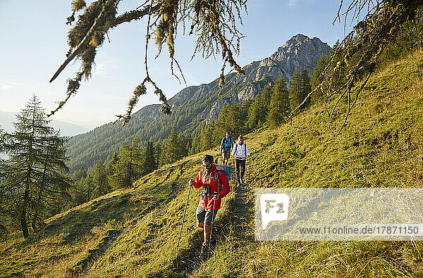 Hikers with poles hiking on mountain  Mutters  Tyrol  Austria