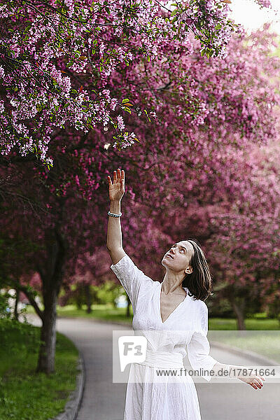 Frau greift mit erhobenem Arm nach Blüten am Apfelbaum im Garten