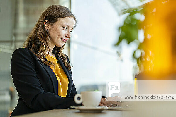Smiling businesswoman using laptop at cafe