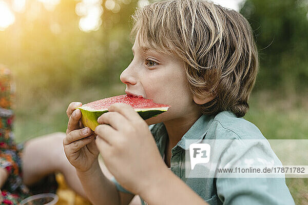 Boy eating watermelon at park