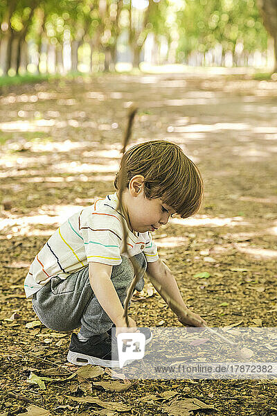 Netter Junge spielt mit Stock im Park
