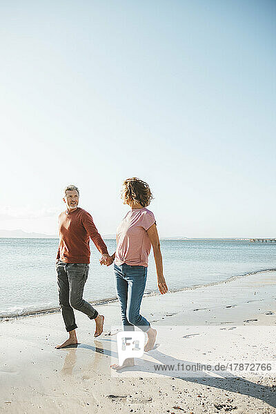 Mature man and woman holding hands walking at beach
