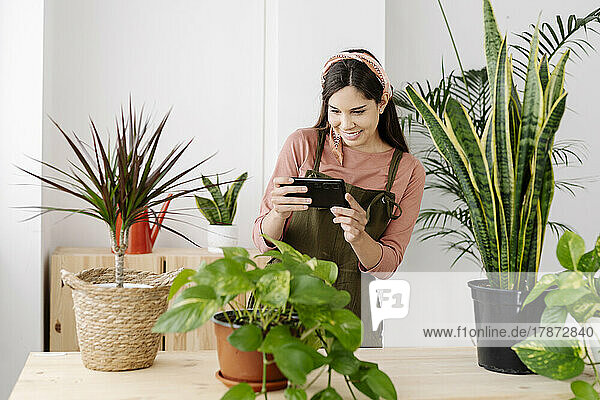 Smiling woman taking picture of plant though smart phone at home