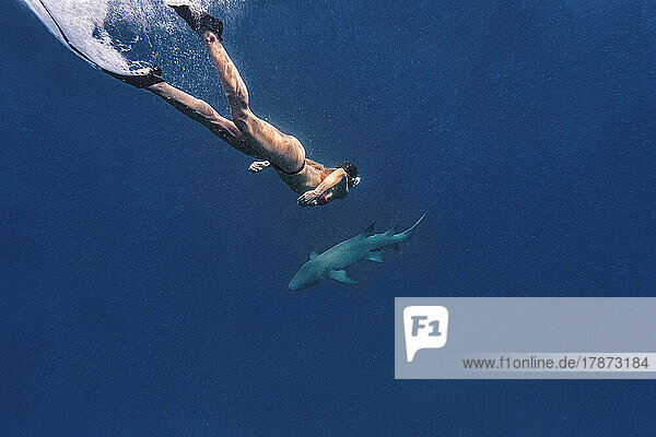 Woman with nurse sharks swimming in sea