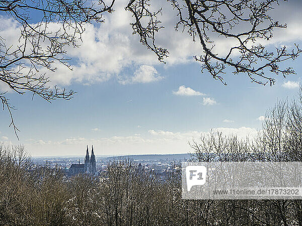 Germany  Bavaria  Regensburg  Clouds over Regensburg Cathedral seen from edge of forest