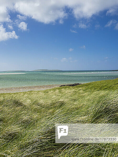 UK  Scotland  Grassy coastline of Outer Hebrides
