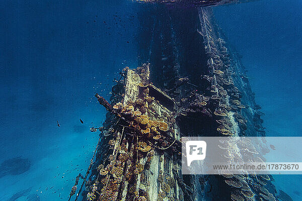 Shipwreck with reef in sea