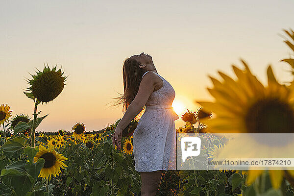 Sorglose Frau genießt das Wochenende im Sonnenblumenfeld bei Sonnenuntergang