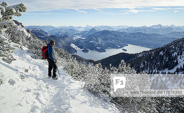 Hiker with backpack looking at Walchensee from Mt. Herzogstand  Bavarian Prealps  Bavaria  Germany