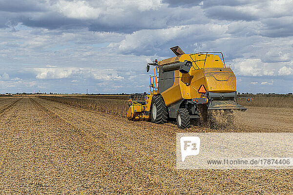 Machinery harvesting soybean on field
