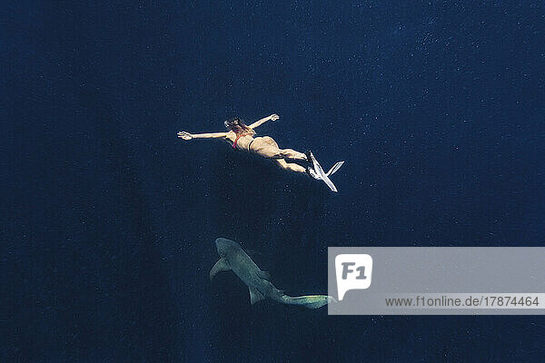Woman swimming with shark in deep blue sea