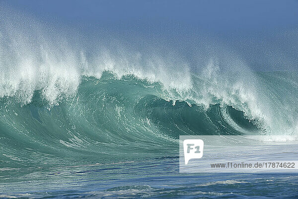 Large splashing breaking wave of Pacific Ocean
