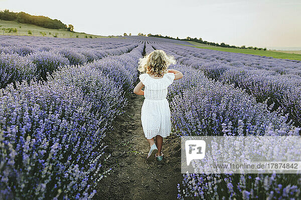 Girl with blond hair walking in lavender field