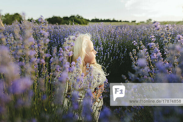 Girl with blond hair amidst lavender plants on field