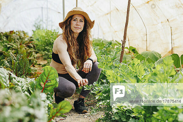 Smiling farm worker with brown hair crouching by plants in greenhouse