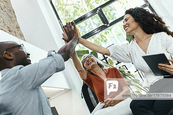 Smiling multiracial colleagues giving high-five to each other