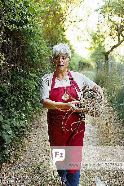 Mature artisan holding esparto grass in basket