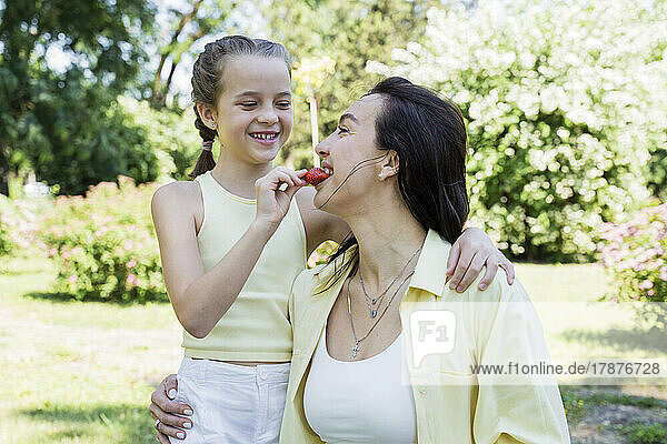 Happy daughter feeding strawberry to mother in park on weekend