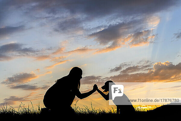 Silhouette of woman playing with dog against clouds at sunset