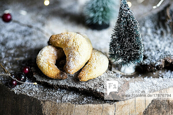 Studio shot of vanilla cookies and Christmas decorations