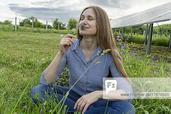 Engineer smelling flower on field at solar power station