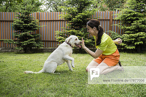 Playful woman hiding ball and showing stop gesture to Labrador at backyard