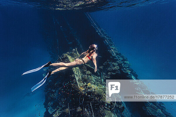 Woman exploring shipwreck swimming undersea