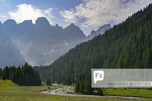 Scenic landscape with trees and mountain range at Pale di San Martino Park  Trentino  Italy