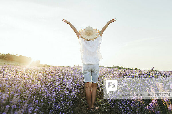 Carefree woman with arms raised standing in lavender field