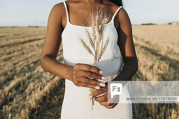 Woman wearing white dress holding wheat crop at farm