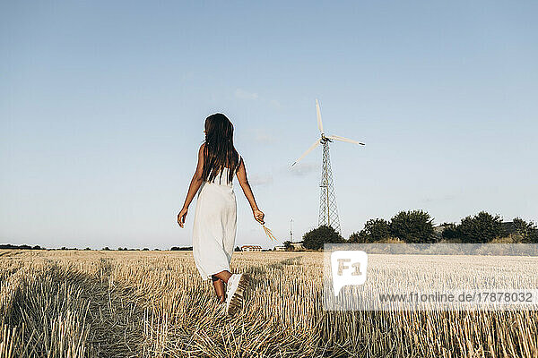 Woman holding wheat crop walking on field