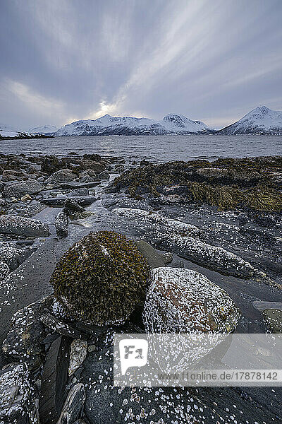 Norway  Troms og Finnmark  Rocky coastline with snowcapped mountains in background