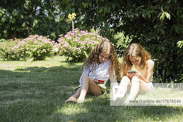 Sisters using smart phones in park on sunny day