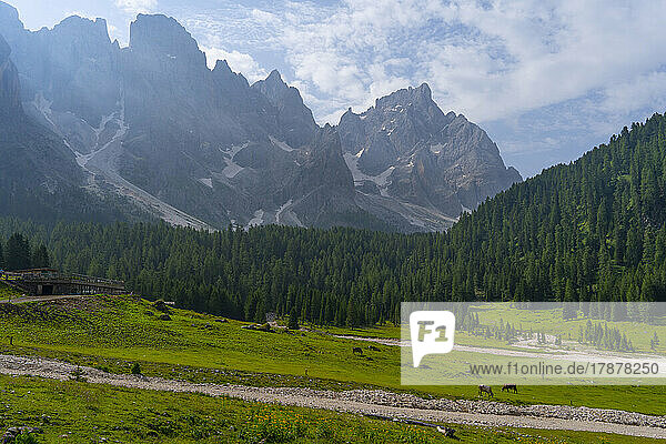 Scenic landscape with mountain range in background at Pale di San Martino Park  Trentino  Italy