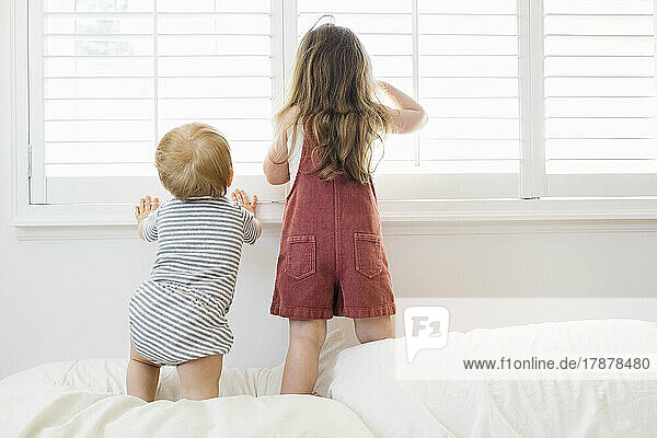 Rear view of brother (12-17 months) and sister (2-3) looking through window