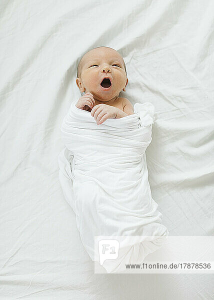 Swaddled newborn boy (0-1 months) yawning