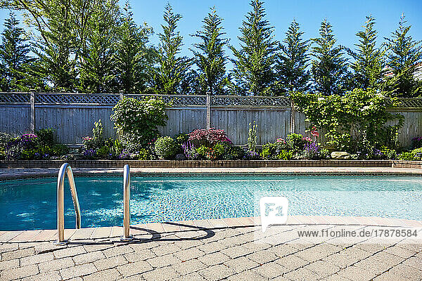 Backyard pool and garden