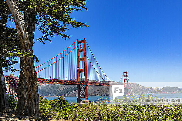 United States  California  San Francisco  Golden Gate Bridge on sunny day
